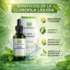 Clorofila Líquida Benevolent Nourishment® – Detox y Control de Olor