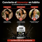 Aceite de Semilla Negra Etíope 100% Puro - Apoyo Inmunológico, Digestivo y Equilibrio Natural - Empieza hoy !!